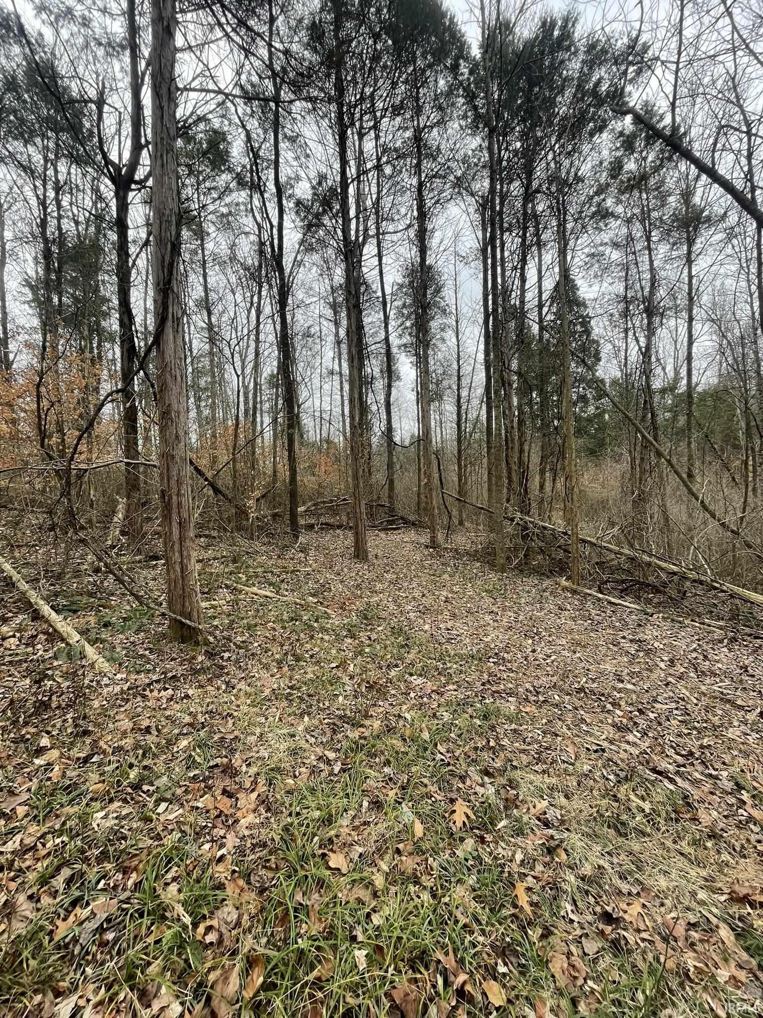 Hillham Rd Road South French Lick, IN 47432 - Photo 15 of 28