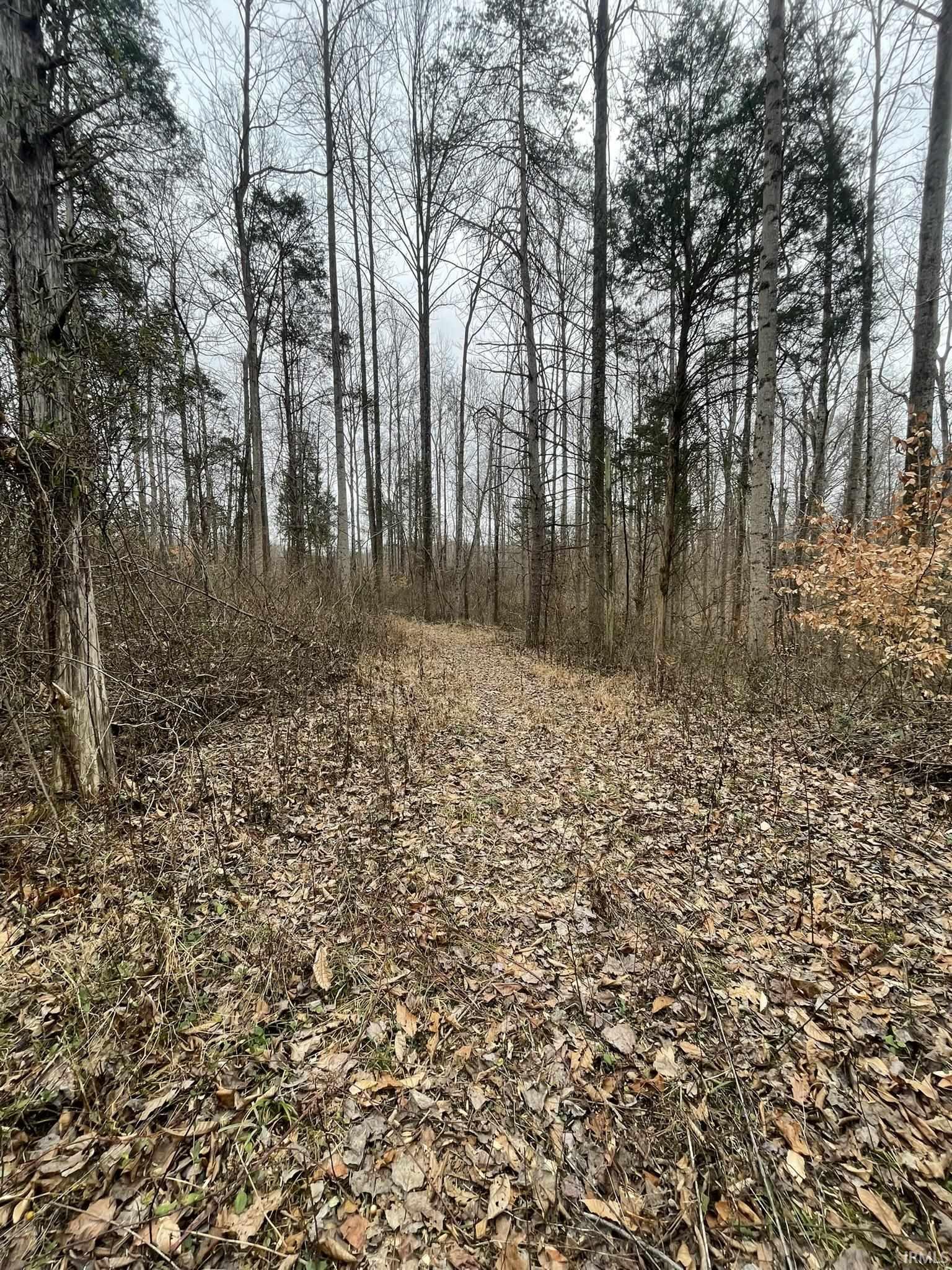 Hillham Rd Road South French Lick, IN 47432 - Photo 16 of 28