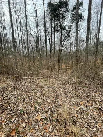 $119,900 | Hillham Rd Road South, French Lick, IN 47432