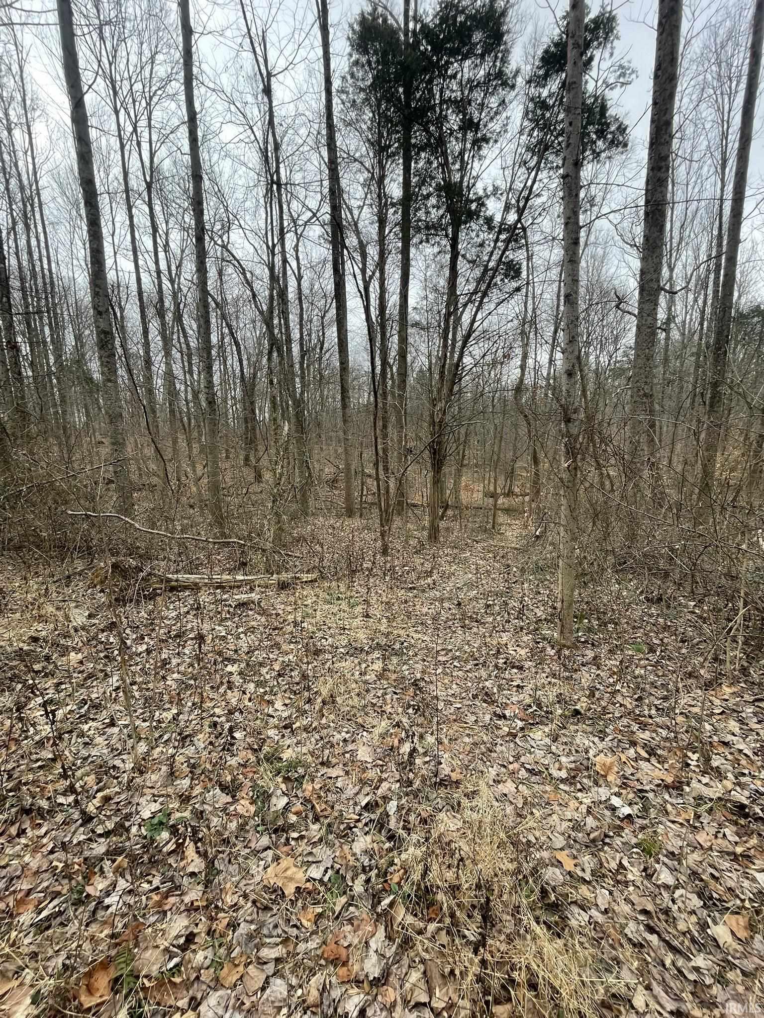 Hillham Rd Road South French Lick, IN 47432 - Photo 17 of 28