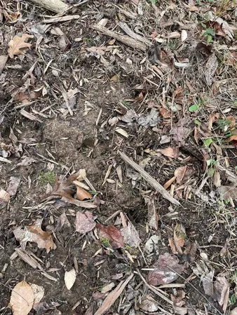 $119,900 | Hillham Rd Road South, French Lick, IN 47432