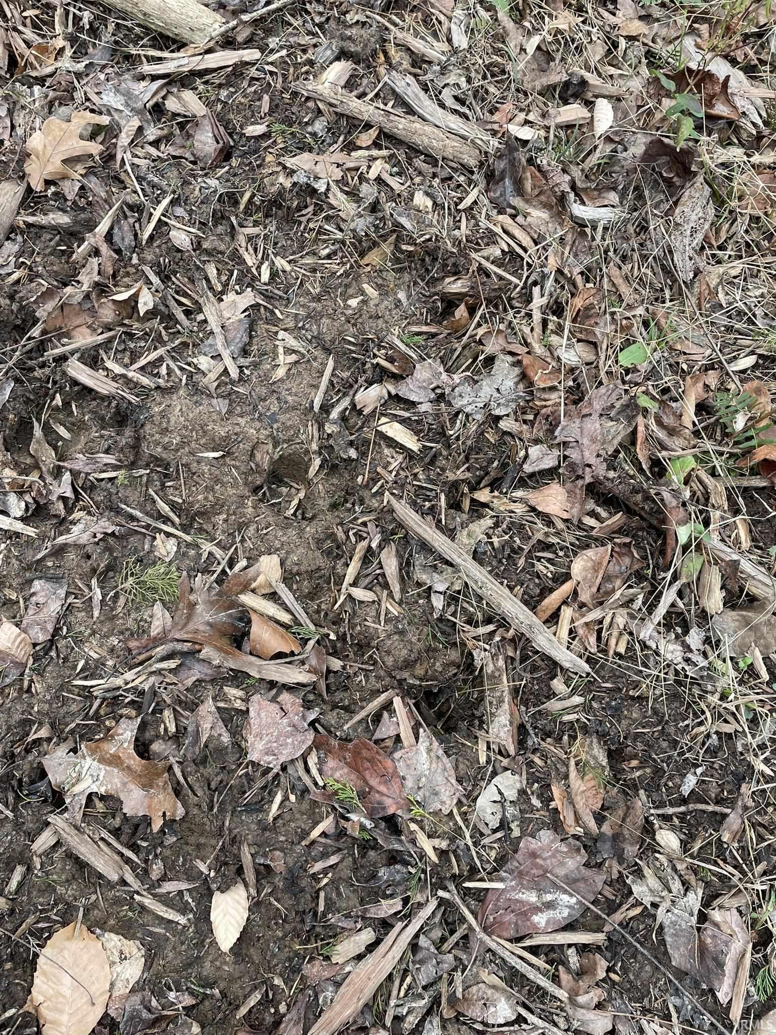 Hillham Rd Road South French Lick, IN 47432 - Photo 18 of 28