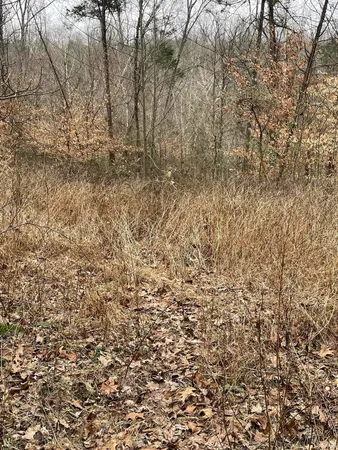 $119,900 | Hillham Rd Road South, French Lick, IN 47432