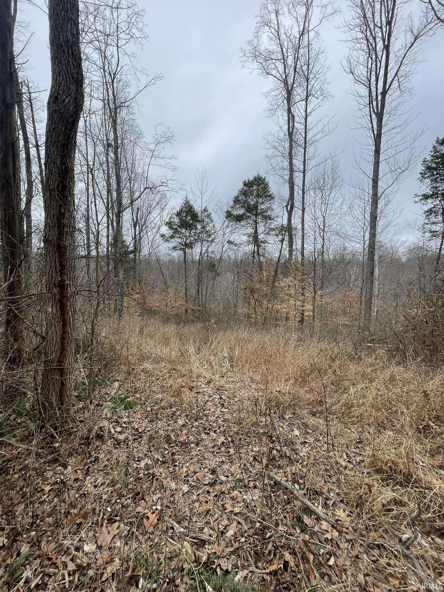 Hillham Rd Road South French Lick, IN 47432 - Photo 20 of 28