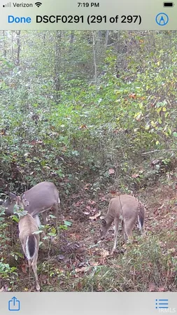 $119,900 | Hillham Rd Road South, French Lick, IN 47432