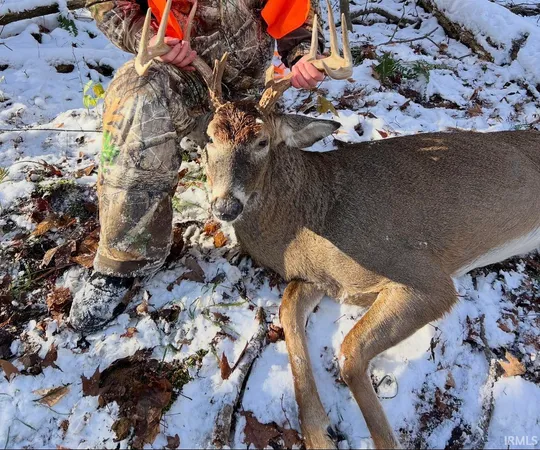 $119,900 | Hillham Rd Road South, French Lick, IN 47432