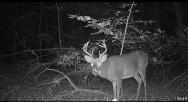 $119,900 | Hillham Rd Road South, French Lick, IN 47432