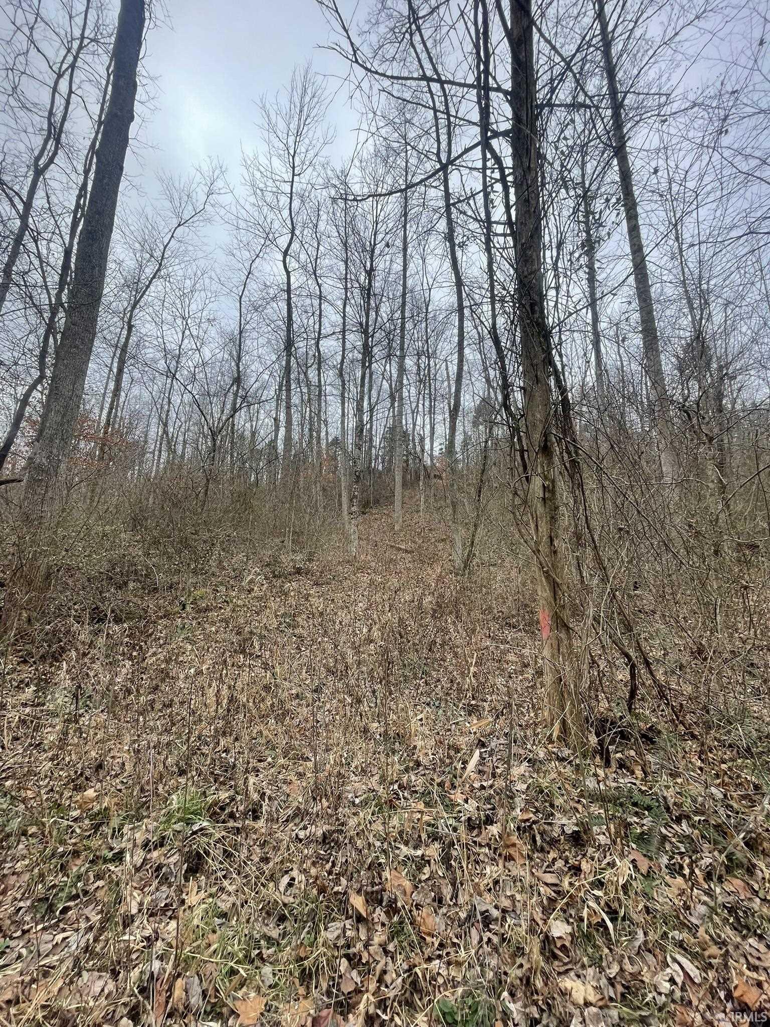 Hillham Rd Road South French Lick, IN 47432 - Photo 7 of 28