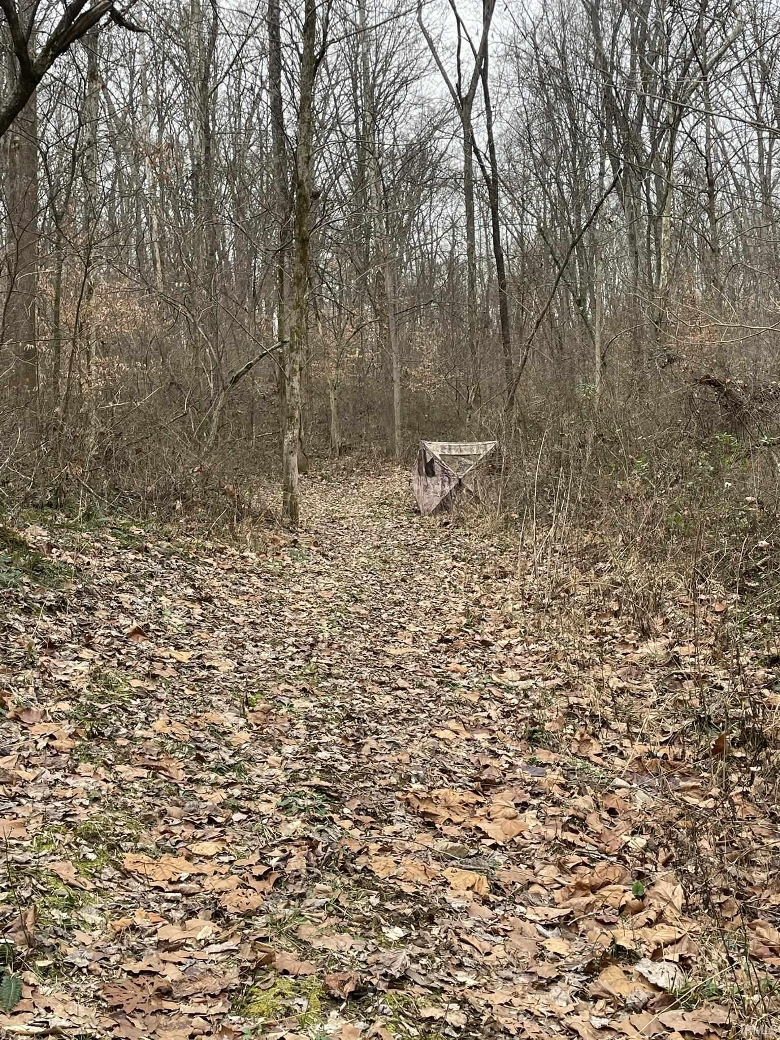 Hillham Rd Road South French Lick, IN 47432 - Photo 9 of 28