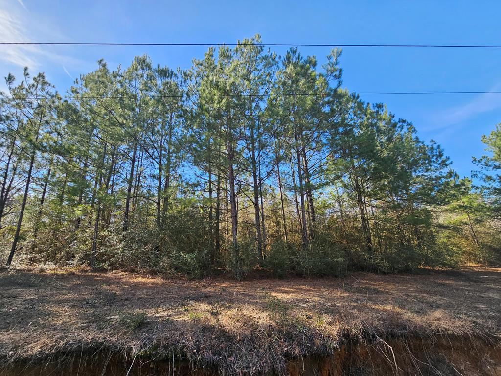 4 Redfish Road Poplarville, MS 39470 - Photo 1 of 1 Gallery Image 1