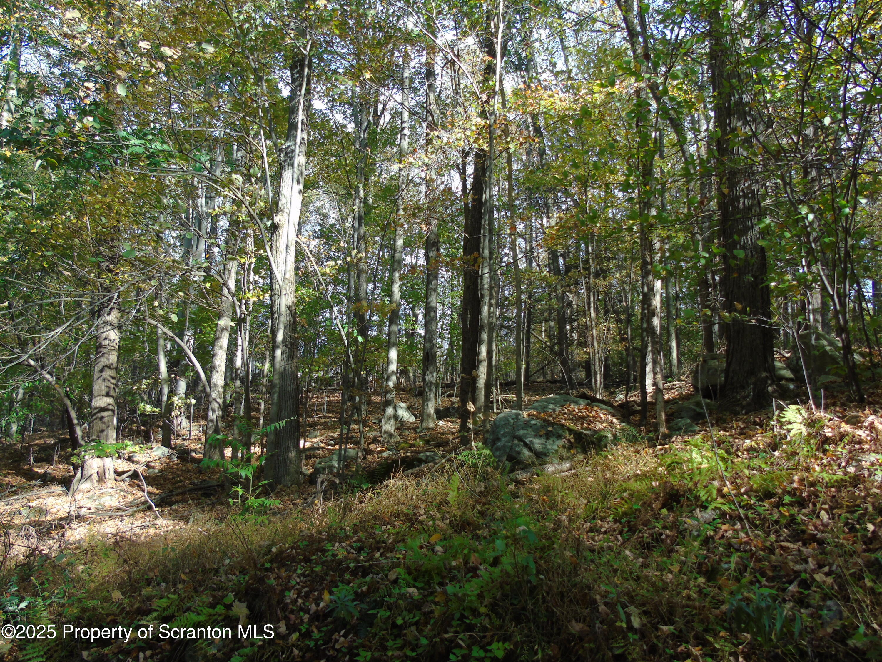 Deer Run Spring Brook Moscow, PA 18444 - Photo 12 of 13 a view of outdoor space and trees