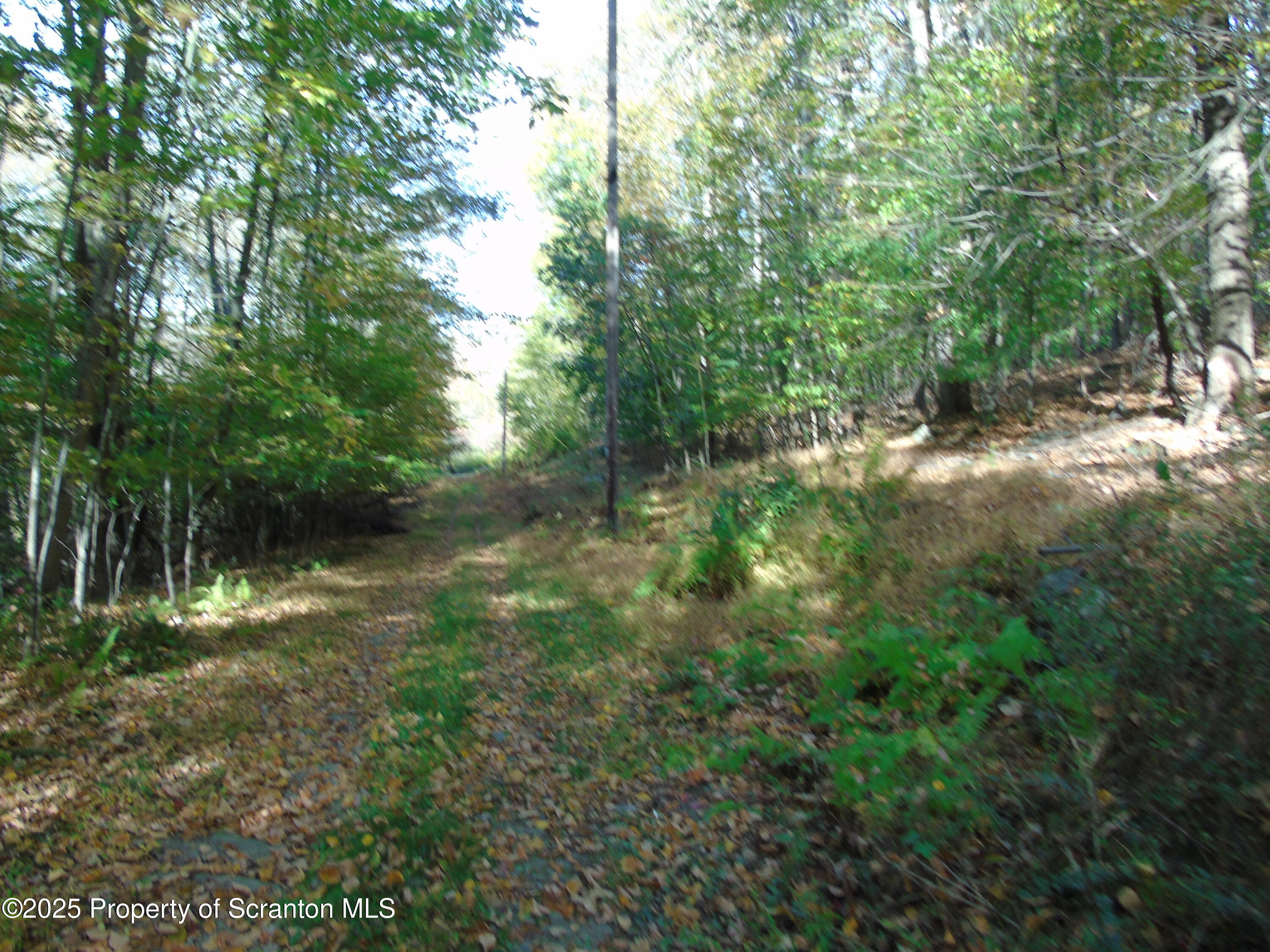 Deer Run Spring Brook Moscow, PA 18444 - Photo 2 of 13 a view of outdoor space and green space