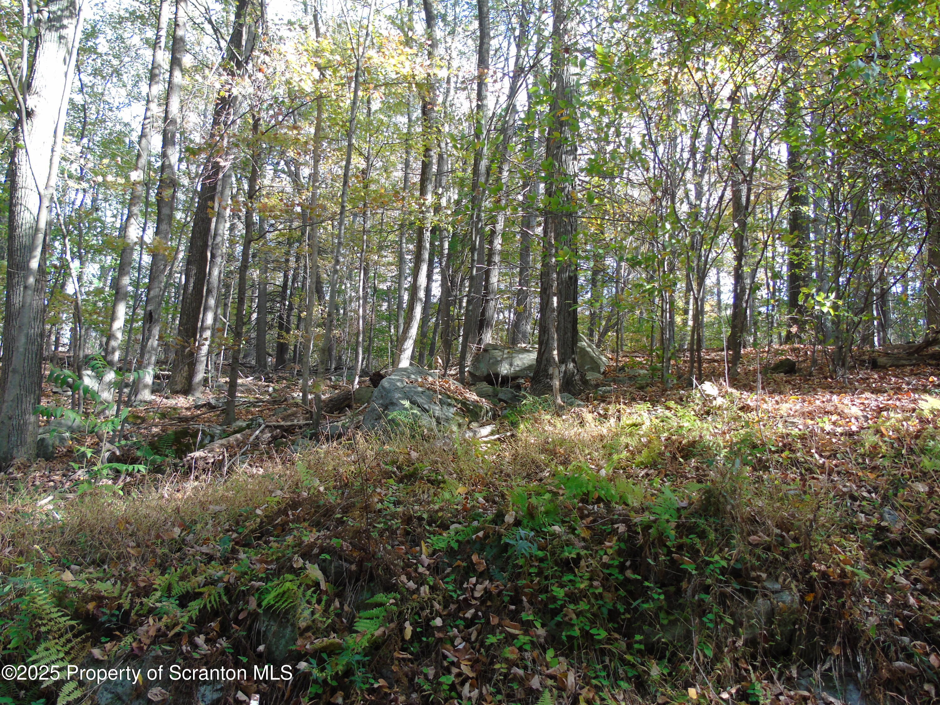 Deer Run Spring Brook Moscow, PA 18444 - Photo 5 of 13 a view of backyard with green space