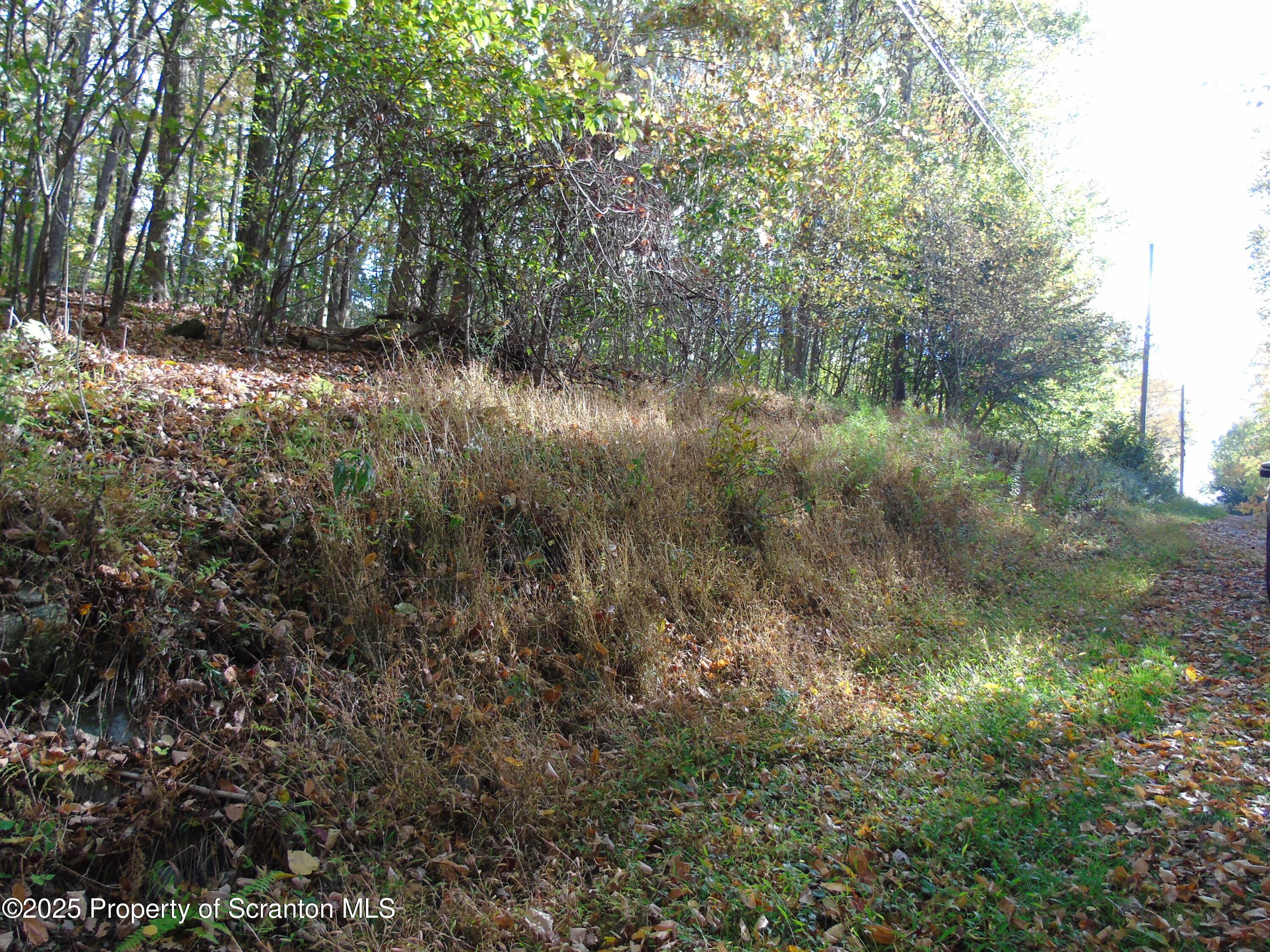 Deer Run Spring Brook Moscow, PA 18444 - Photo 6 of 13 a view of a lake with lots of trees