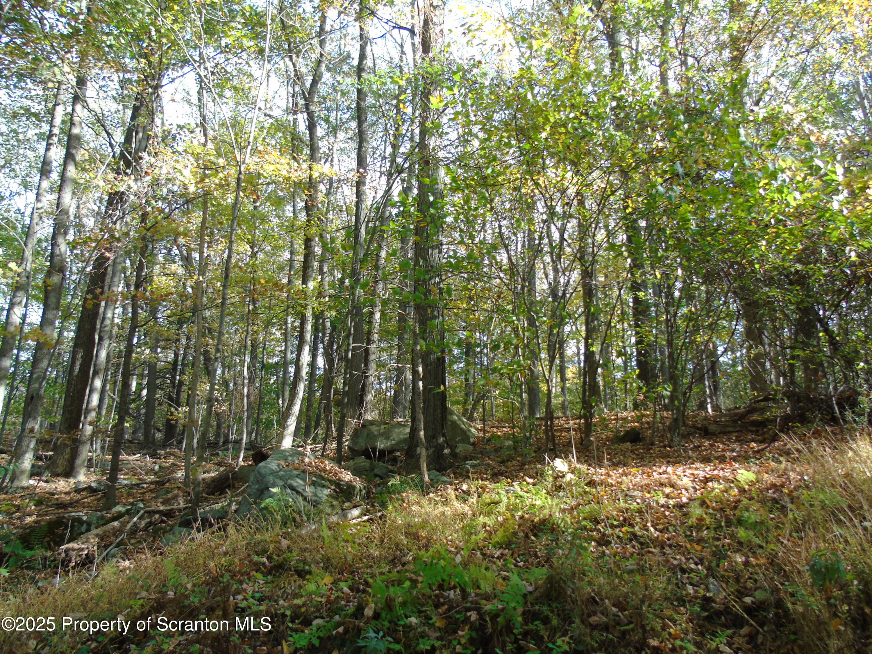 Deer Run Spring Brook Moscow, PA 18444 - Photo 7 of 13 a view of backyard with green space
