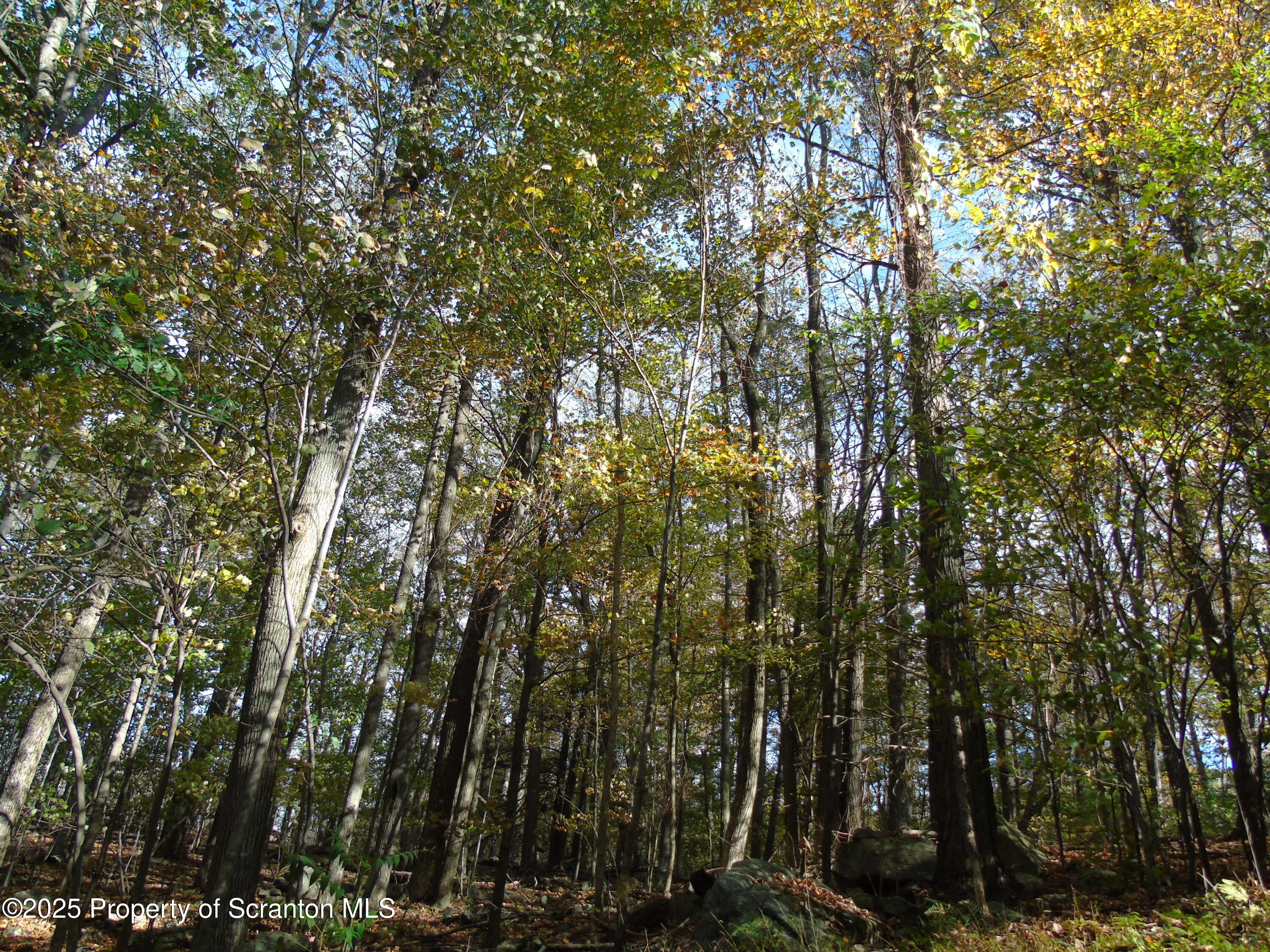 Deer Run Spring Brook Moscow, PA 18444 - Photo 8 of 13