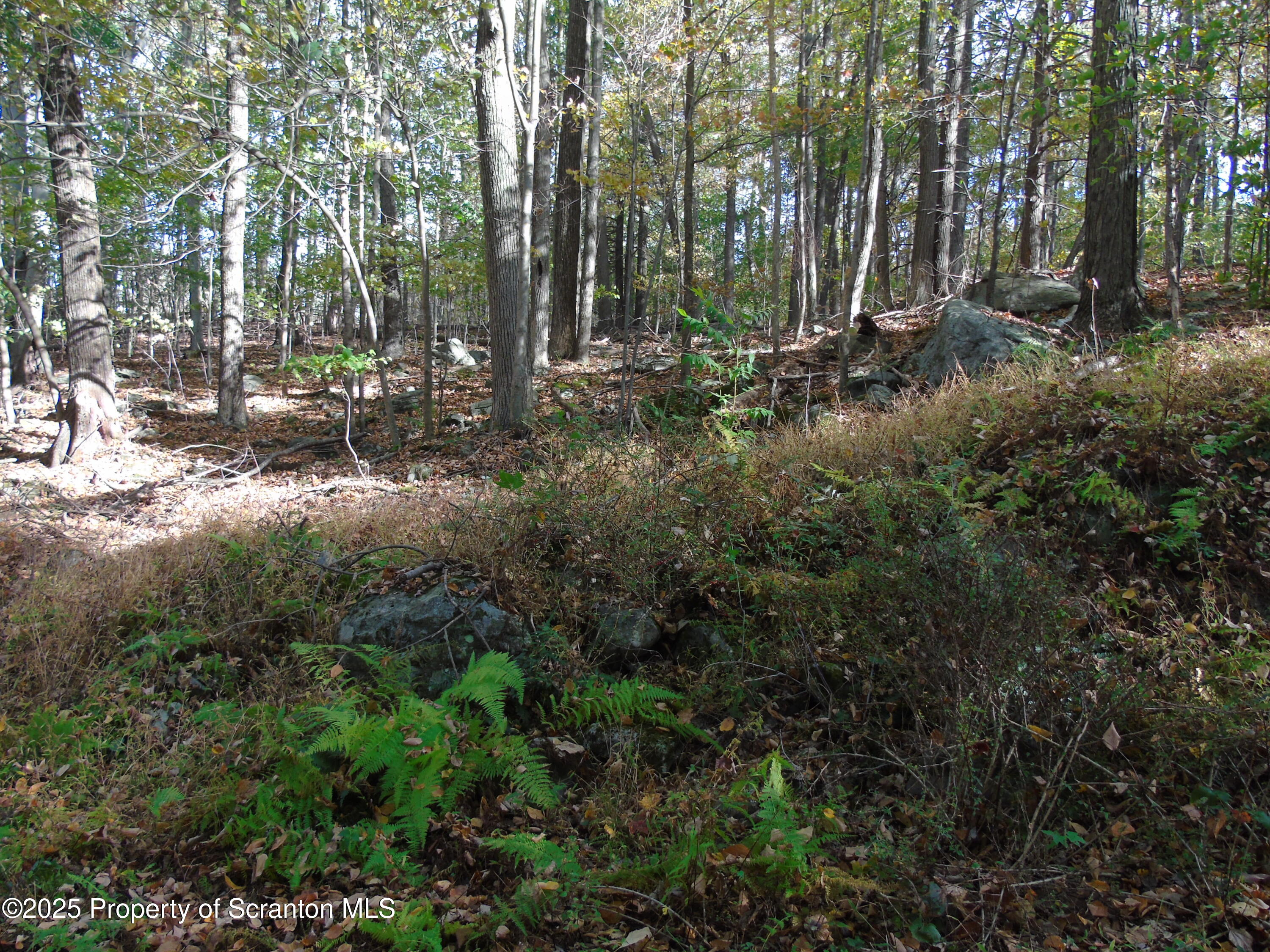 Deer Run Spring Brook Moscow, PA 18444 - Photo 10 of 13 a view of outdoor space and trees