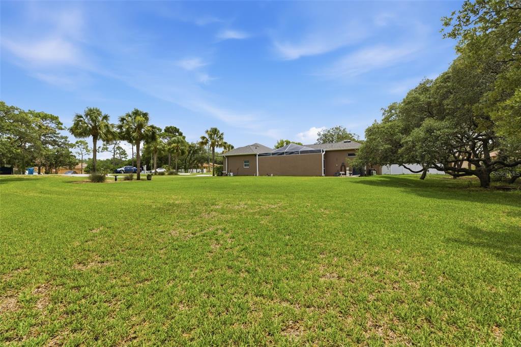 11145 Mountain Mockingbird Road Weeki Wachee, FL 34614 - Photo 16 of 84