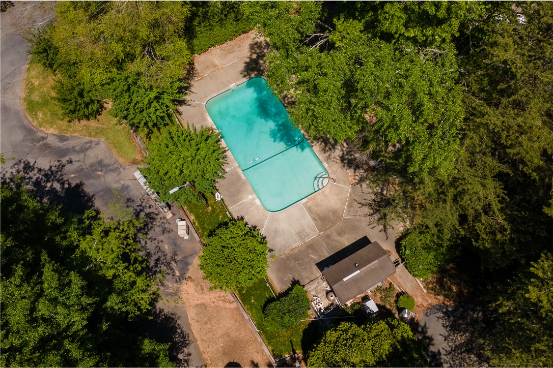 150 Ligon Street, Unit 2302 Clemson, SC 29631 - Photo 14 of 18 Aerial view showcasing a refreshing swimming pool surrounded by mature trees.