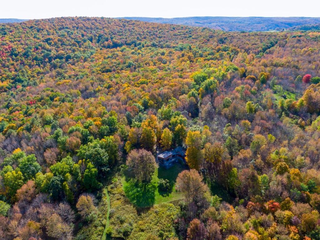 323 Jackson Road Plymouth, NY 13844 - Photo 49 of 50