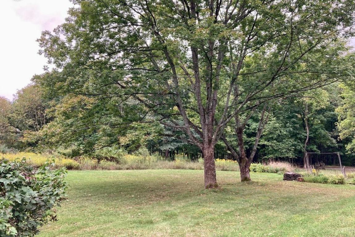 323 Jackson Road Plymouth, NY 13844 - Photo 6 of 50