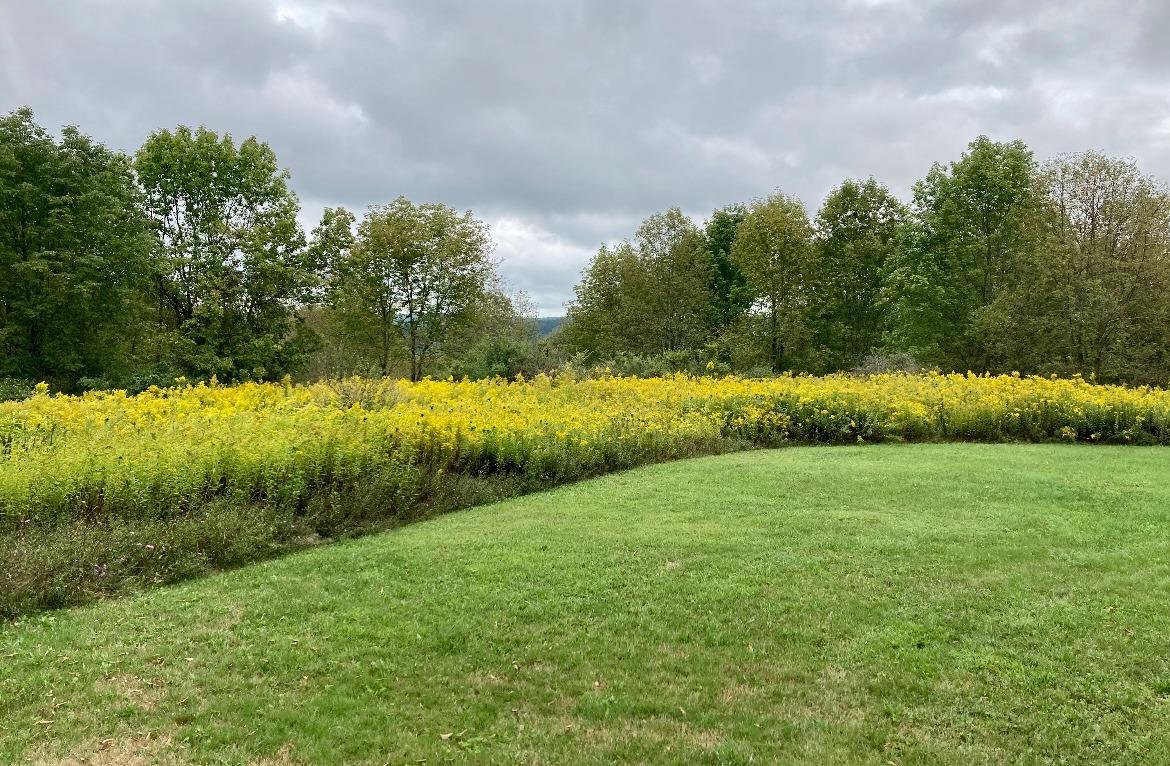 323 Jackson Road Plymouth, NY 13844 - Photo 10 of 50