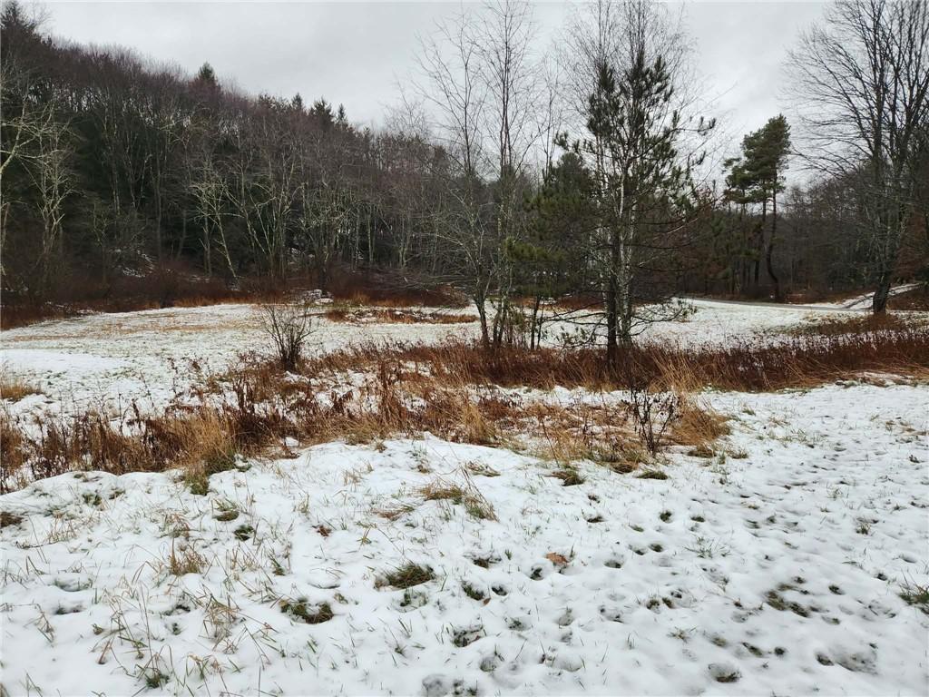 845 Mottern Road Punxsutawney, PA 15767 - Photo 3 of 37