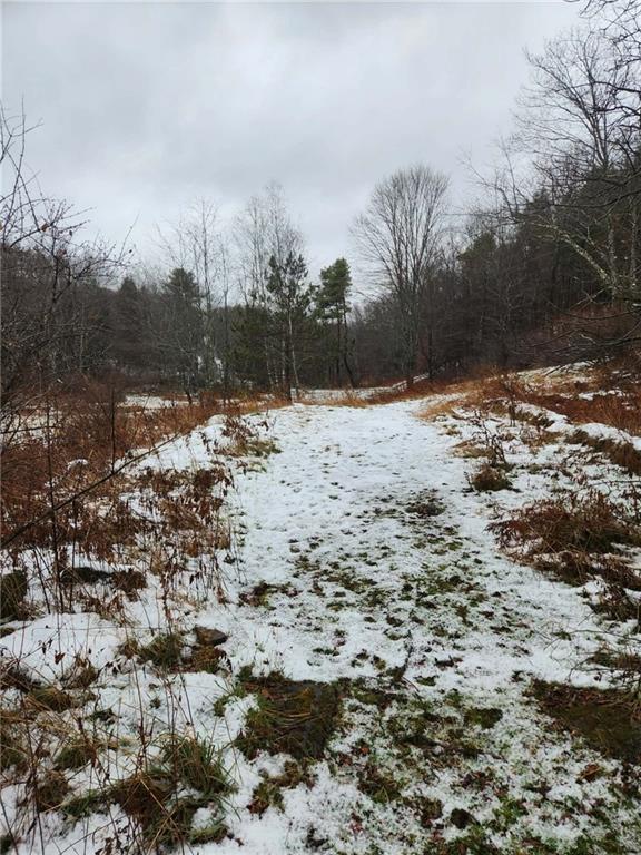 845 Mottern Road Punxsutawney, PA 15767 - Photo 6 of 37