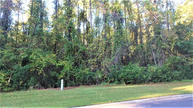 $27,900 | 29 Misty Harbor, Woodbine, GA 31569