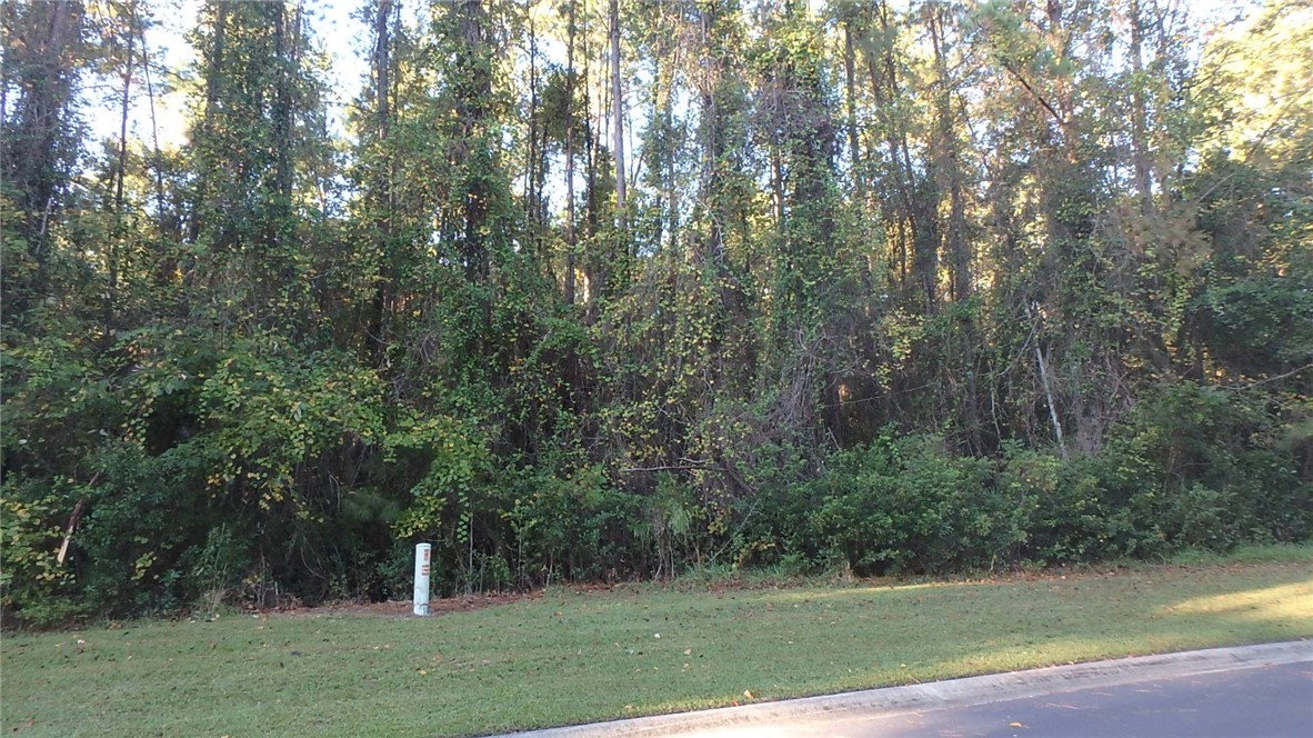 29 Misty Harbor Woodbine, GA 31569 - Photo 12 of 15