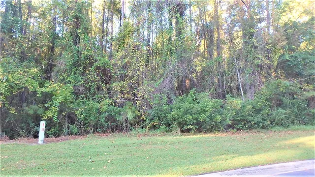 $27,900 | 29 Misty Harbor, Woodbine, GA 31569