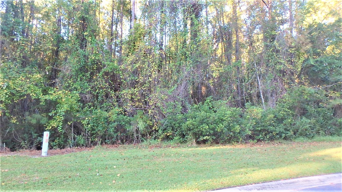 29 Misty Harbor Woodbine, GA 31569 - Photo 7 of 15