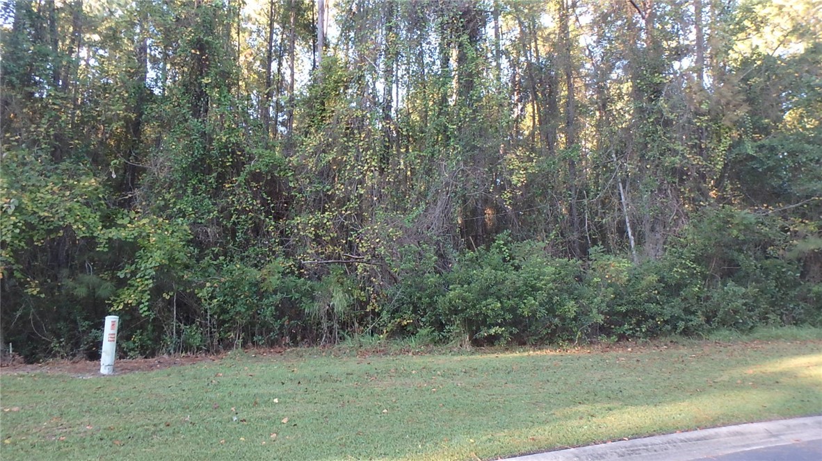 29 Misty Harbor Woodbine, GA 31569 - Photo 8 of 15