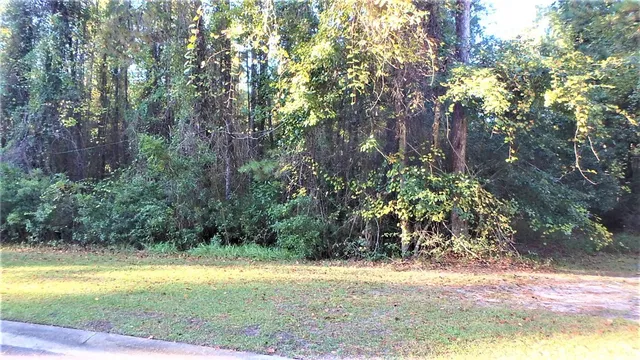 $27,900 | 29 Misty Harbor, Woodbine, GA 31569