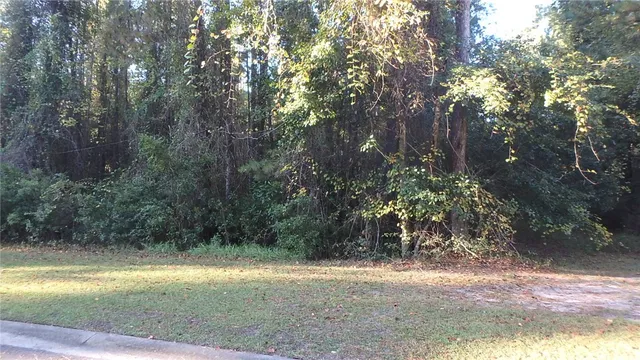 $27,900 | 29 Misty Harbor, Woodbine, GA 31569