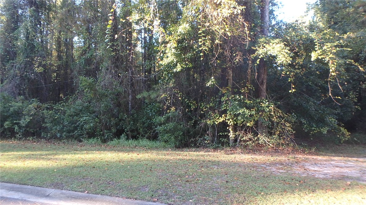 29 Misty Harbor Woodbine, GA 31569 - Photo 10 of 15