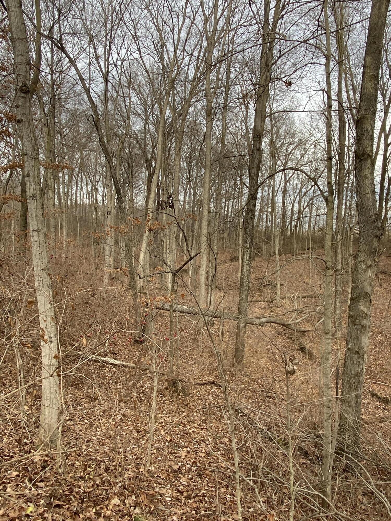 4010 Sharpsburg Road Eaton, OH 45320 - Photo 23 of 57 Gallery Image 23