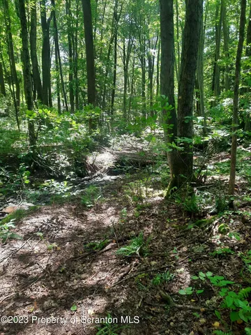 a view of outdoor space and trees