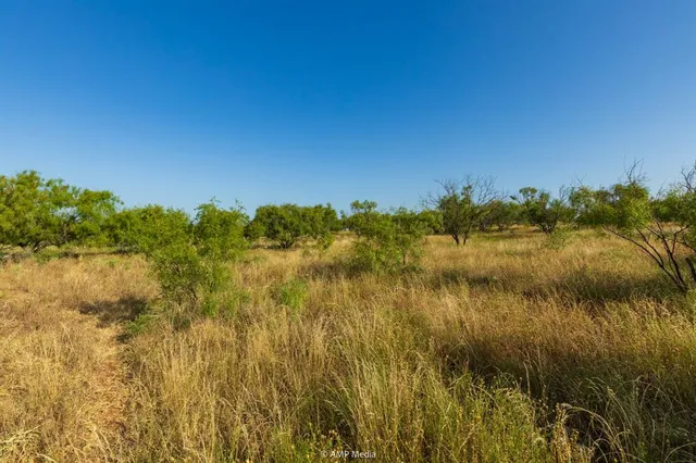 a view of a houses with a yard