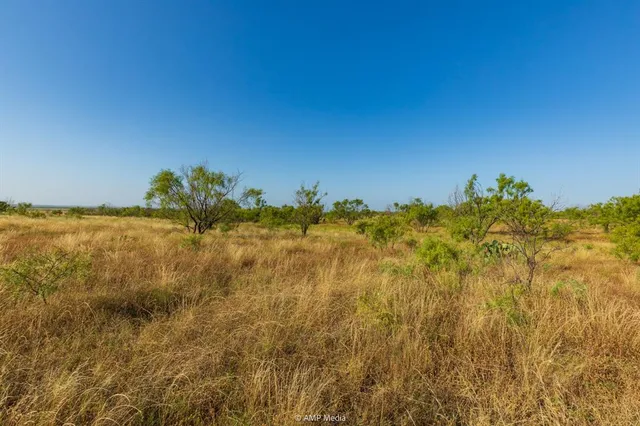 a view of a lake with a yard
