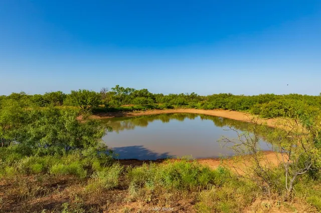 a view of beach and swimming pool