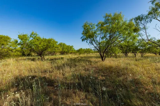 $1,313,910 | 2746 St Anson Tx 79501, Anson, TX 79501