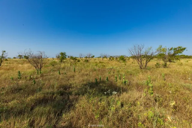 $1,313,910 | 2746 St Anson Tx 79501, Anson, TX 79501