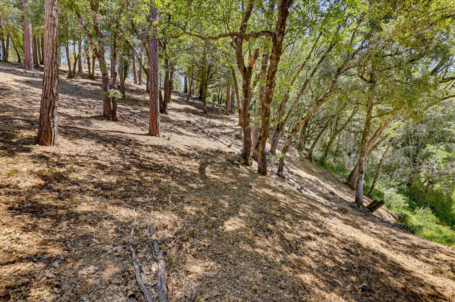 16300 Kiwi Road Grass Valley, CA 95949 - Photo 61 of 88 Gallery Image 61