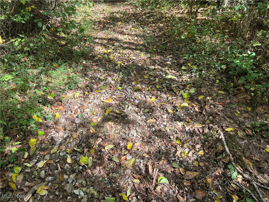 71330 Old Twenty One Road Kimbolton, OH 43749 - Photo 21 of 49