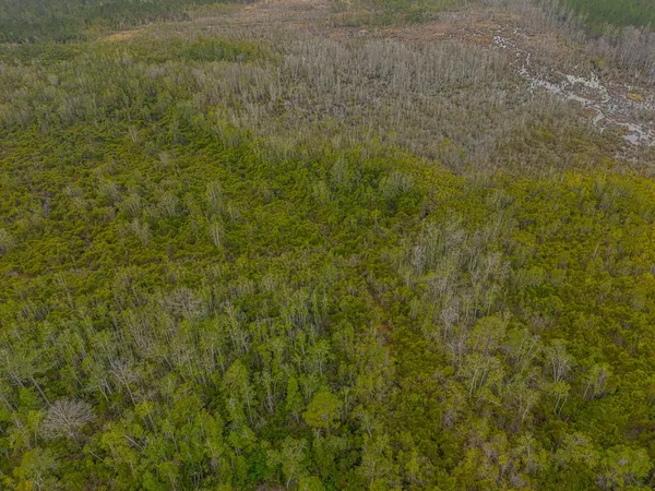 $499,900 | 664 Liberty Court, Hortense, GA 31543