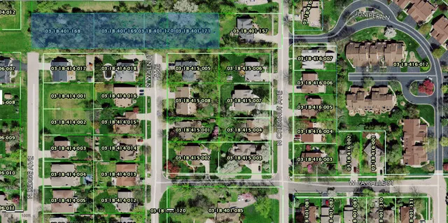 a plant is in a garden