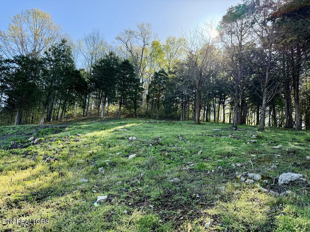 Harbor Pointe Drive Silver Point, TN 38582 - Photo 2 of 7 235684_1