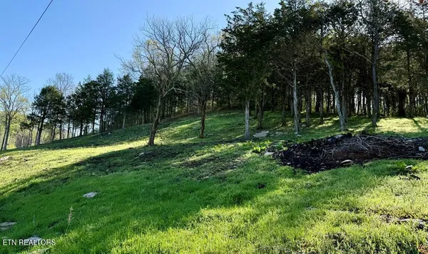 $195,000 | Harbor Pointe Drive, Silver Point, TN 38582