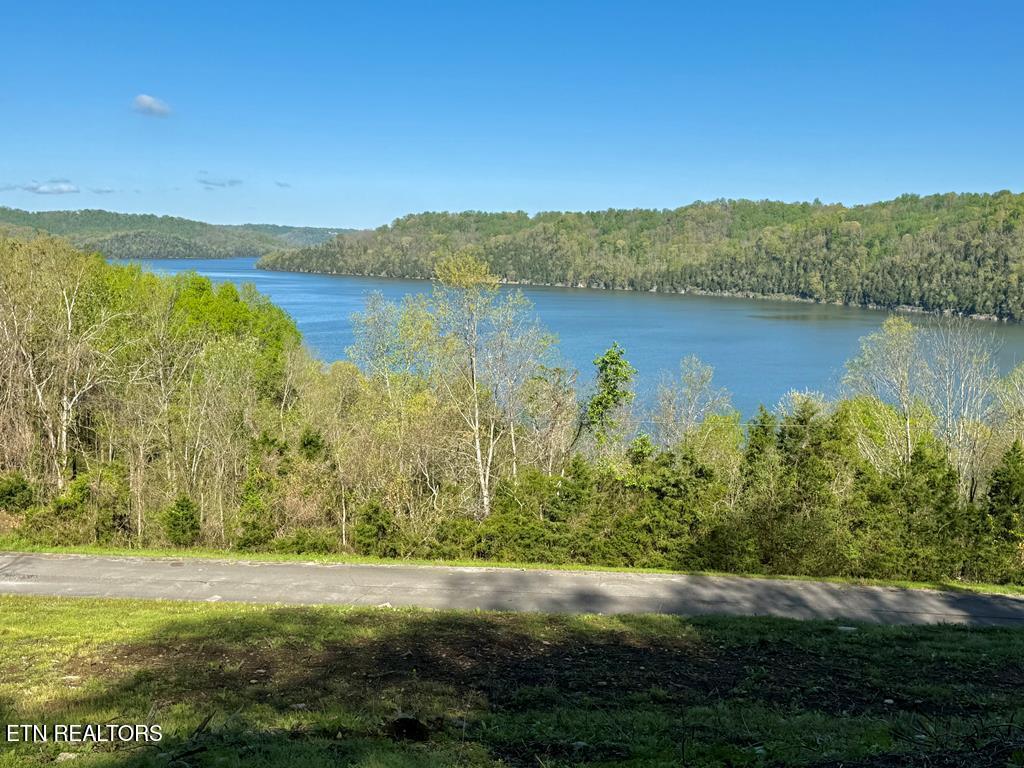 Harbor Pointe Drive Silver Point, TN 38582 - Photo 6 of 7 235684_6